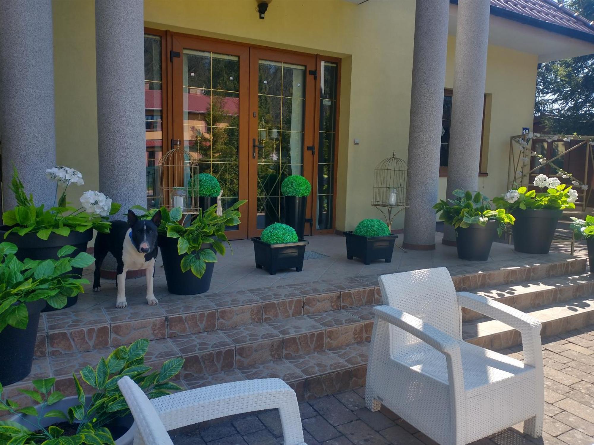 Korab Wiselka & Spa Hotel Exterior foto