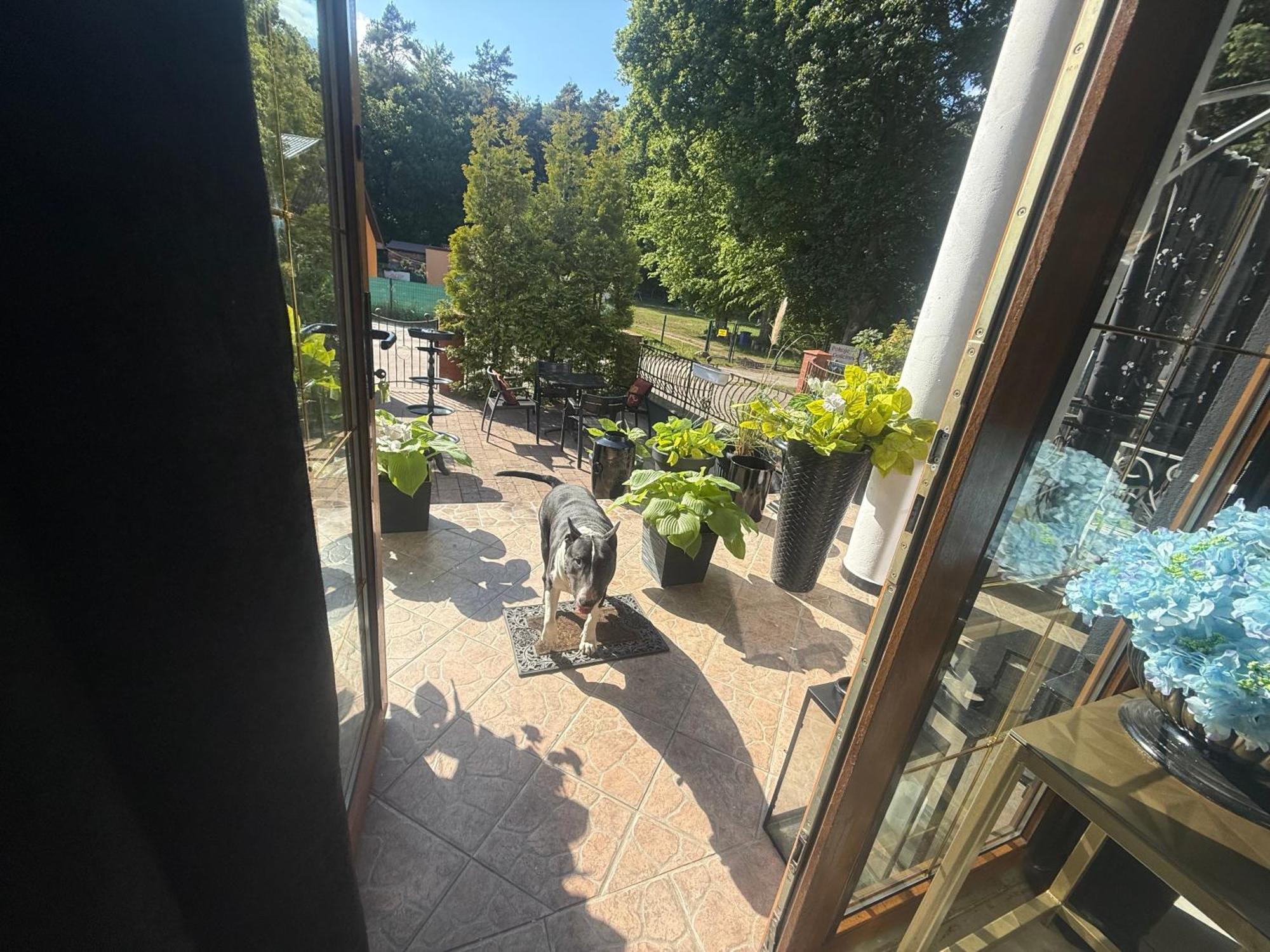Korab Wiselka & Spa Hotel Exterior foto
